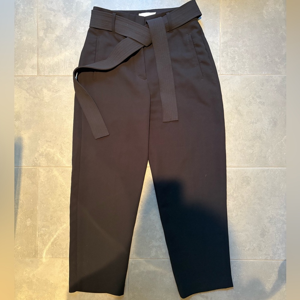 Aritzia Trousers w/ Tie Belt